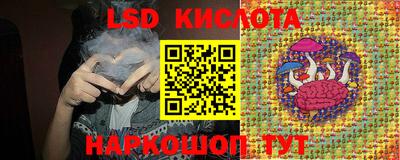 стаф Будённовск