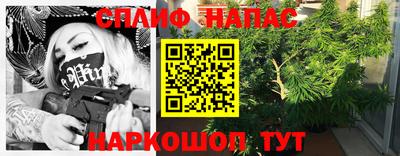 стаф Будённовск