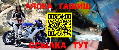 стаф Будённовск