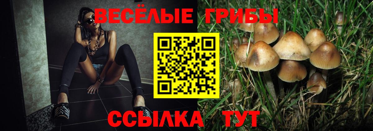 Псилоцибиновые грибы Cubensis Щёкино